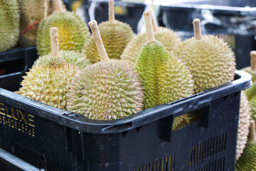 Durian fruit in basket at a fruit stall