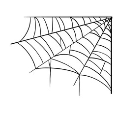 spider web5