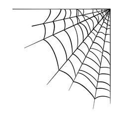 spider web4