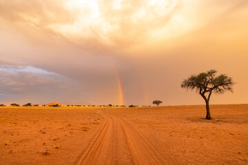 Rainbow after the rain in Namib Desert