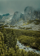 landscape in the morning