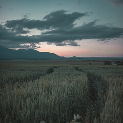 sunrise over the mountains