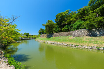 夏の彦根城の内堀　滋賀県彦根市