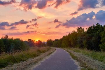 sunset on the path