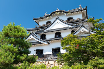 夏の彦根城天守閣　滋賀県彦根市