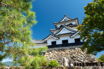 Fototapeta premium 夏の彦根城天守閣 滋賀県彦根市