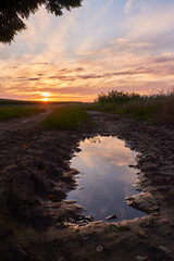 sunset over the puddle, rural atmosphere