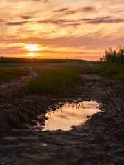 sunrise over the country road and the puddle