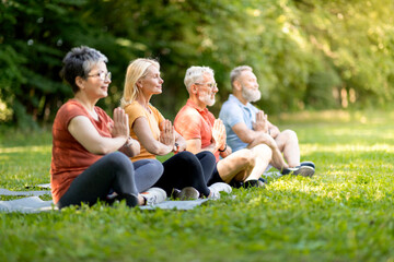 Yoga For Seniors. Group Of Mature People Meditating Together Outdoors