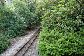 The track of a miniature steam railway, surrounded by woodland