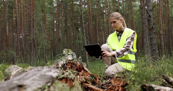 forest ecosystem. female forestry worker inspecting old fallen tree, forester at work