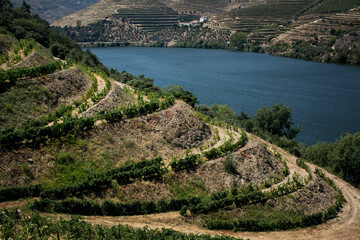 Fototapeta na wymiar A view of the Douro River with vineyards, Douro Valley, Portugal.