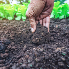 Close-up, hands of a farmer checking soil conditions in a field.generative AI