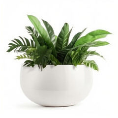Bringing outdoors in with a beautiful green plant in a minimalist white planter. A perfect way to add a touch of nature and promote a healthy home environment. AI Generative.