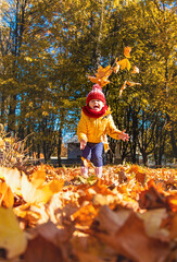 Autumn child in the park with yellow leaves. Selective focus.