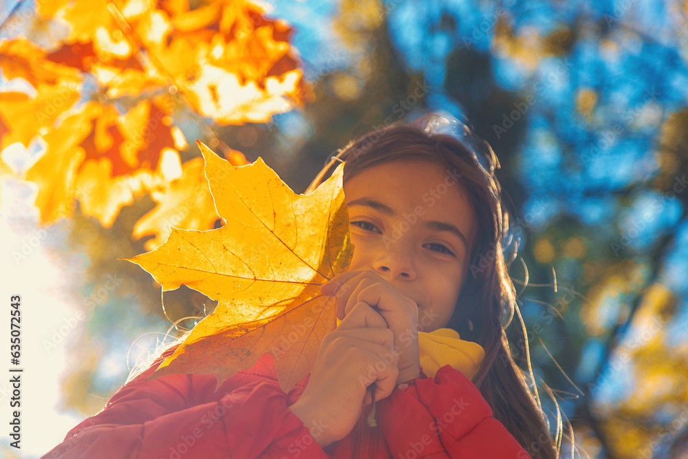 Poster Autumn child in the park with yellow leaves. Selective focus.