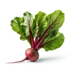 Beetroot with leaves, fresh whole beet isolated on white background