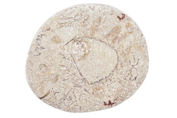 Top view of single gray pebble