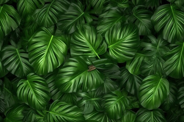 exotic green leaf palm nature forest tropical colourful jungle background tree. Generative AI.