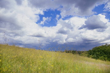 Obraz premium Landscape image of countryside of Ukraine. Cloudy sky, grassy fields and rolling hills rural scenery