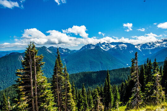 panorama of the mountains