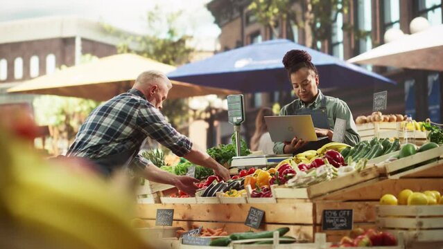 Multiracial Adult Partners Working at a Farmers Market. Diverse Couple Selling Ecological Fruits and Vegetables From an Outdoors Food Stand. African Vendor Using Laptop to Communicate with Suppliers