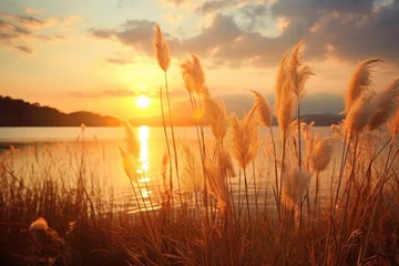 Acrylglasbilder Sonnenuntergang am See © Fatih