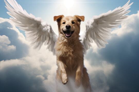 dog with angel wings in heaven, ai generated