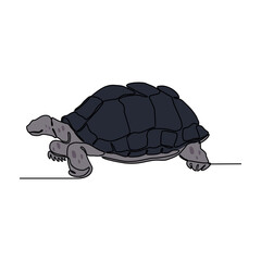 One continuous line drawing of tortoise vector illustration. Unravel the secrets of their sturdy shells, built for protection and temperature regulation. Animal design suitable for your asset.