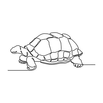 One continuous line drawing of tortoise vector illustration. Unravel the secrets of their sturdy shells, built for protection and temperature regulation. Animal design suitable for your asset.