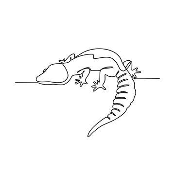 One continuous line drawing of Gecko vector illustration. Unravel the secrets of their sticky toes, equipped with tiny hairs called setae that allow them to climb walls and even hang upside down.