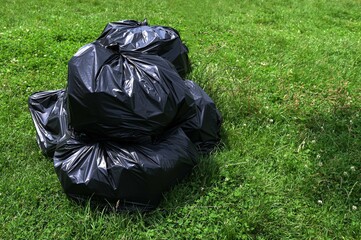 Several black filled garbage bags lie on the ground with green grass