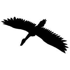 illustration of a duck