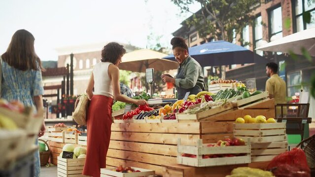 Cheerful Female Farmer Running a Small Business, Selling Sustainable Farm Fruits and Vegetables. Happy Middle Aged Woman Welcoming Shopper to Buy Natural Tomatoes and Cucumbers From a Farm