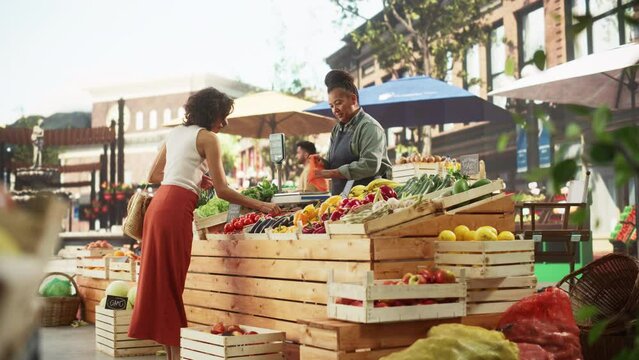 Young Beautiful Customer Shopping for Fresh Organic Vegetables for a Fresh Salad with Tomatoes and Cucumbers. Black Female Buying Ecological Local Produce From a Happy Female Street Vendor