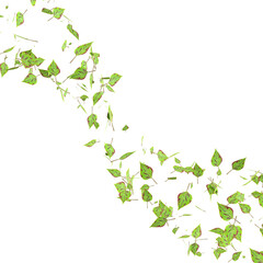 3d render flying leaves