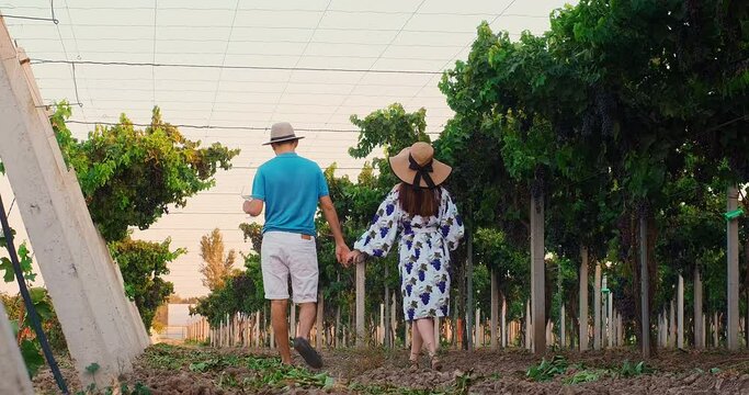 Back view of happy couple in love enjoying romantic date on scenic vineyards background. Beautiful young couple walking holding hands in a vineyard with glasses of wine