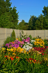 Pysznogłówka szkarłatna, liliowce i floksy wiechowate w ogrodzie (Monarda didyma, Hemerocallis i...