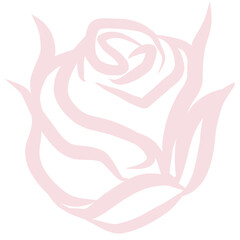 Pink rose, Popular symbol of flower , vector illustration of hand drawn rosé lines 