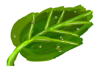 A Cartoon Painting of a Green Leaf.