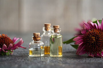Aromatherapy essential oils with echinacea flowers - obrazy, fototapety, plakaty