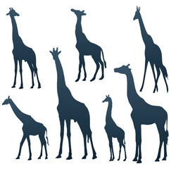 Set of silhouettes of giraffes