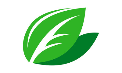 leaf vector icon template logo