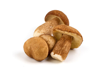 Forest mushrooms - Boletus edulis, isolated on white background.
