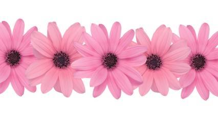 frame made of colored flowers