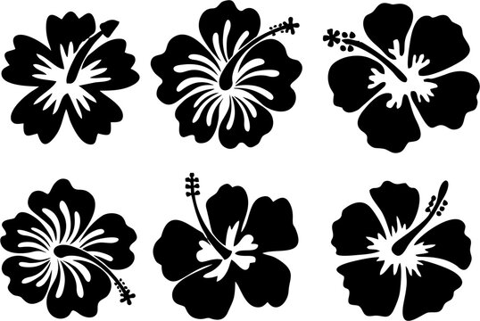 Set collection of Hibiscus silhouettes. Pretty flowers in high resolution on white background. Easy to reuse in fabric designing.