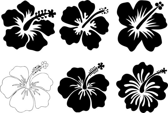Hibiscus set silhouettes. Pretty flowers in high resolution on white background. Easy to reuse in fabric designing.