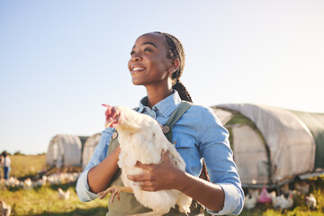 Farm, agriculture and black woman with chicken in field, countryside or nature for protein, growth...