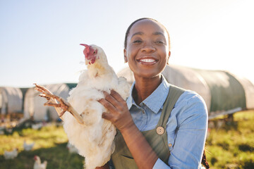 African farmer woman, chicken and portrait outdoor in field, healthy animal or sustainable care for...