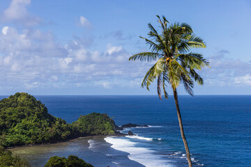 Fototapeta na wymiar Beautiful landscape view of the National Park of American Samoa on the island of Tutuila.